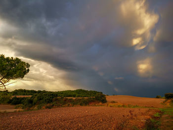 Scenic view of field against sky during sunset