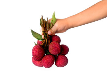 Close-up of hand holding strawberry against white background