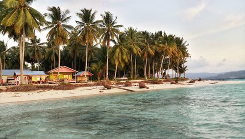 Palm trees on beach against sky