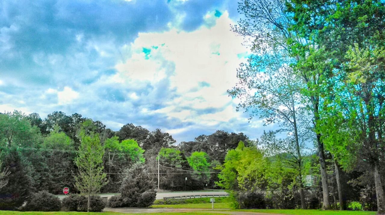 tree, sky, green color, cloud - sky, tranquility, tranquil scene, scenics, beauty in nature, growth, nature, cloud, mountain, cloudy, lush foliage, landscape, green, idyllic, day, non-urban scene, forest