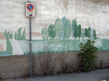 Plants growing on wall