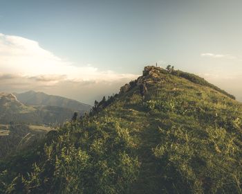 Scenic view of landscape against sky