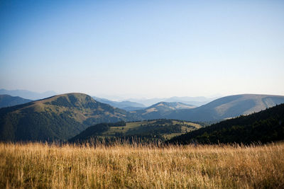 Scenic view of field against clear sky