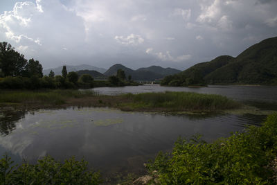 Scenic view of lake by trees against sky