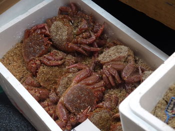 High angle view of meat in plate