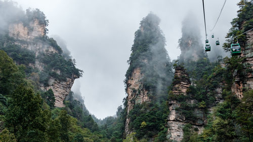 Panoramic view of trees and mountains against sky