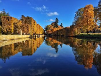 Reflection of trees on river during autumn