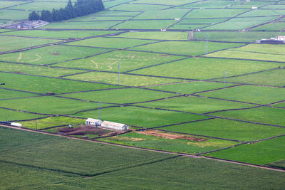 High angle view of agricultural field