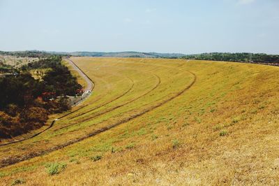 Scenic view of agricultural field against sky