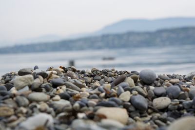 Stones on shore at beach