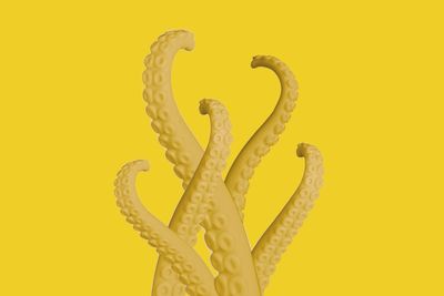 Close-up of lemon against yellow background