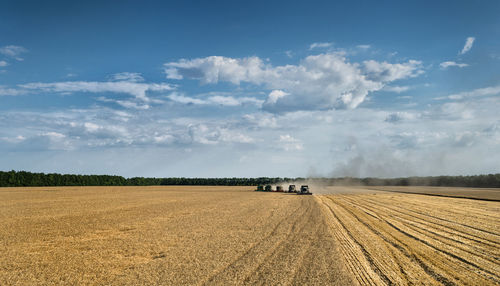 Combine harvester on field against sky at farm during sunset