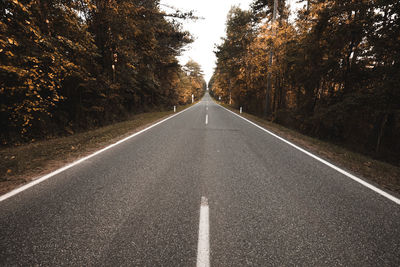 Empty road amidst trees