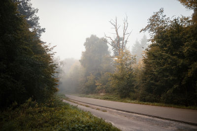 Road amidst trees against clear sky