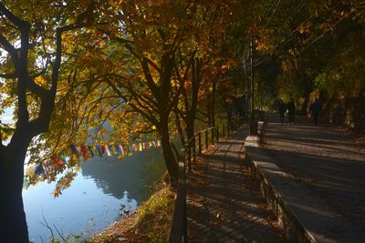 Footpath amidst trees by lake during autumn