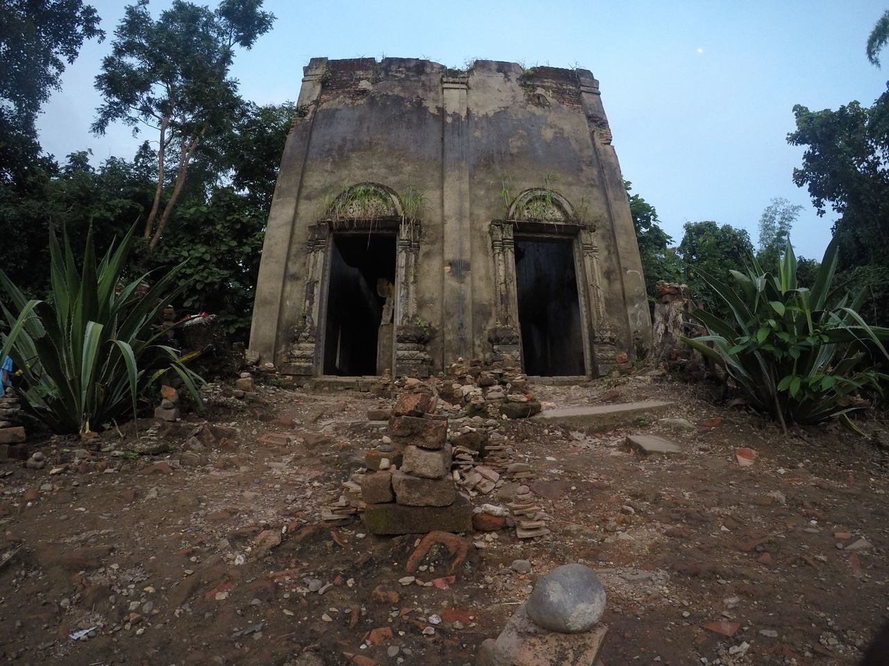 OLD RUIN AMIDST PLANTS ON FIELD