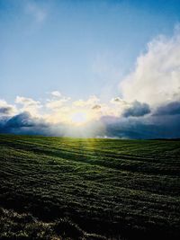 Scenic view of agricultural field against sky