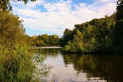 Scenic view of lake by trees against sky