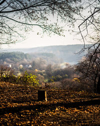 Scenic view of landscape against sky during foggy weather