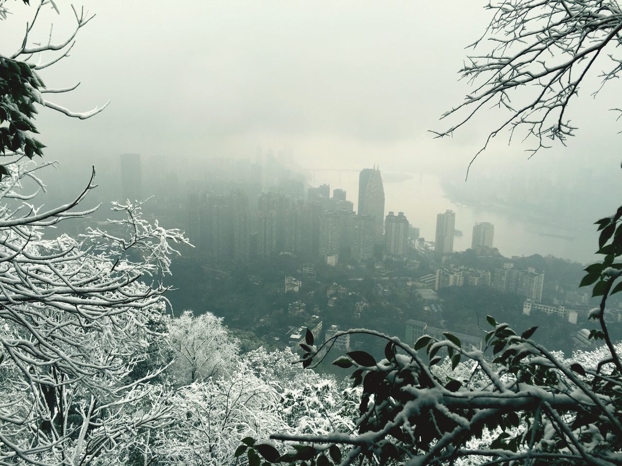 building exterior, architecture, built structure, city, fog, tree, skyscraper, cityscape, weather, bare tree, sky, foggy, branch, water, river, day, tall - high, urban skyline, no people, modern