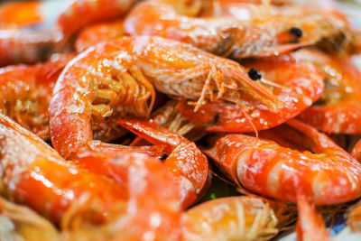 Close-up of prawns