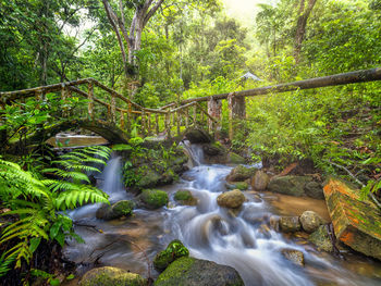 Scenic view of waterfall in forest