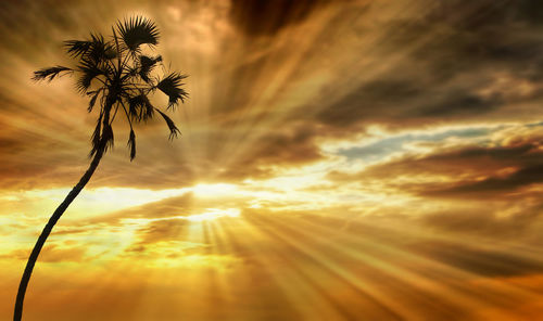 Low angle view of silhouette palm trees against romantic sky