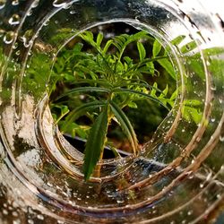 Close-up of raindrops on glass