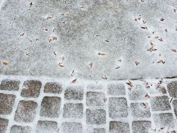 Full frame shot of snow on footpath