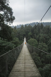 Footbridge amidst trees in forest against sky