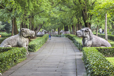 Footpath by statues at ming xiaoling mausoleum