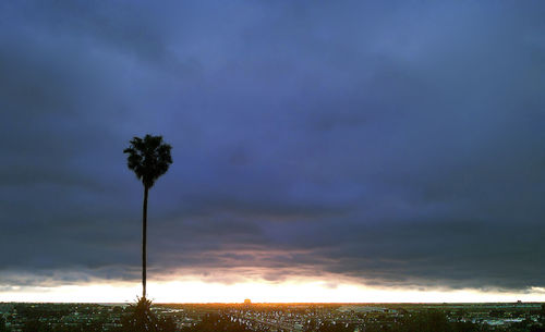 Silhouette palm tree by sea against sky at sunset
