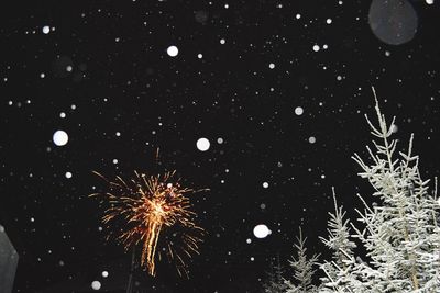 Firework display at night