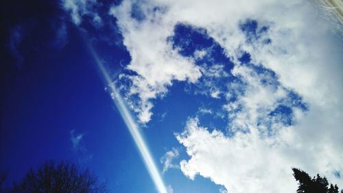 Low angle view of trees against blue sky