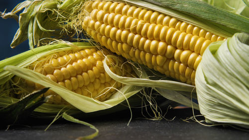 Close-up of corn