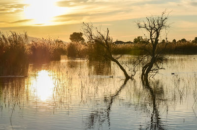 Scenic view of lake against sky during sunset