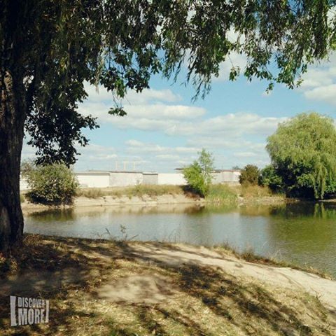 tree, water, sky, tranquil scene, tranquility, lake, scenics, cloud - sky, nature, beauty in nature, cloud, river, reflection, lakeshore, day, calm, riverbank, idyllic, growth, cloudy