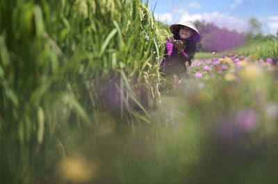 Woman on pink flowering plants on field