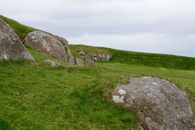 Rocks on grassy field