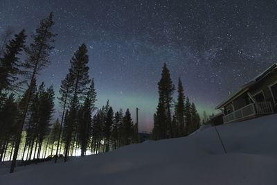 Trees on snow covered landscape against sky at night