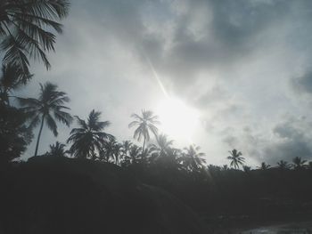 Low angle view of trees against sky