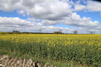 Scenic view of field against cloudy sky
