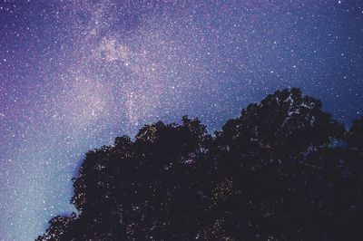 Low angle view of silhouette trees against sky at night
