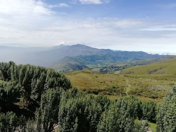 Scenic view of landscape against sky