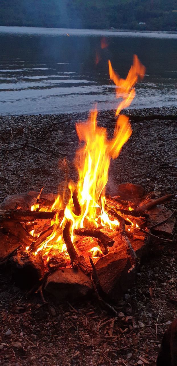 BONFIRE ON WOODEN LOG AT BEACH