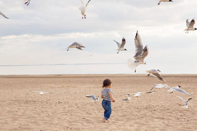 Baby boy in striped sailor t-shirt running on the sandy beach with seagulls near the sea in summer