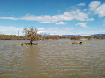 Scenic view of lake against sky