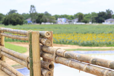 Close-up of metal fence on field