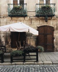 Potted plant on street against building