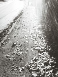 Road passing through tunnel